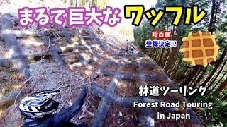 まるで巨大なワッフル【林道ツーリング/Forest Road (Off-road trail) Motorcycle Touring in Japan】Vol.012