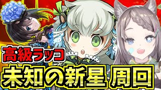 【未知の新星】7万円のラッコで周回！ナツル×トリス編成！満足したらラードラ周回！百式チャレンジ！業炎の百龍【パズドラ】