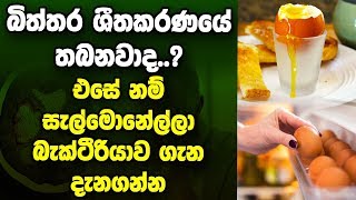 ඔබත් බිත්තර ශීතකරණයේ තබනවාද..? එසේ නම් සැල්මොනේල්ලා බැක්ටීරියාව ගැන දැනගන්න