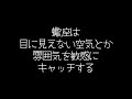 【しいたけ占い】獅子座×さそり座の相性