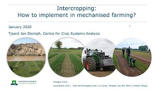 Tjeerd Jan Stomph - Intercropping and mechanised farming - Wageningen WinterSchool 2021