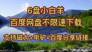 6盘小白羊版【百度网盘不限速下载】支持磁力+电驴+百度分享链接