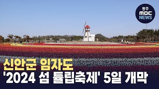 신안군 임자도 '2024 섬 튤립축제' 5일 개막