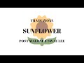 {TRADUZIONE ITALIANO} SUNFLOWER - POST MALONE E SWAE LEE (SPIDER MAN)
