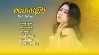 បទសេដខ្លាំង Pich Solikah កំពុងល្បីខ្លាំងក្នុង Tik Tok 2024 💔🥹