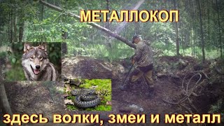 МЕТАЛЛОКОП. ЗДЕСЬ ВОЛКИ ЗМЕИ И МЕТАЛЛ.