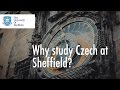 Why study Czech at the University of Sheffield?