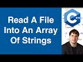 Read And Store Each Line Of A File Into An Array Of Strings | C++ Example