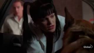 NCIS - Dog Tags (Abby vs McGee)