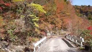 20161113　 紅葉散策　野迫川村　川原樋川林道　２