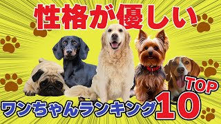 性格が優しい犬種ランキングTOP10