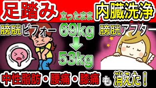 【効果絶大69kg→53kg】※1万歩歩くより立ったまま3分！足踏みだけでリンパ流し内臓洗浄で夜間頻尿やトイレが近いも解消し、勝手に中性脂肪も減らして脊柱管狭窄症・変形性膝関節症も解消！食後すぐOK！