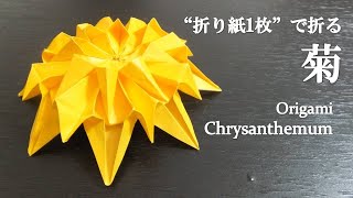 【折り紙1枚】可愛い！立体的な花『菊』の折り方 How to make a chrysanthemum with origami.【Flower】