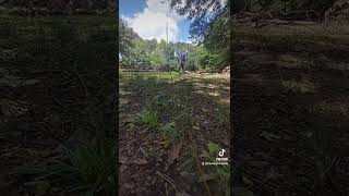 Chainsaw Problems