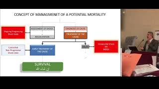 Maternal Shock Live Lecture -  محاضرة دكتور عمرو عصام للأطباء العرب #Maternalshock