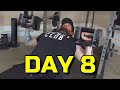 Taking Back My Health - Day 8 - Chest/Triceps