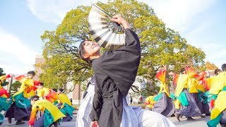 [4K]京炎そでふれ！彩京前線①　のつきみ祭 2017 京都大学11月祭