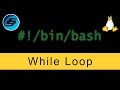 While Loop - Bash Scripting