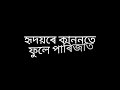 মৃগতৃষ্ণা mrigatrishna karaoke track papon