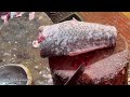 incredible big katla fish cutting skills in fish market fish cutting skills