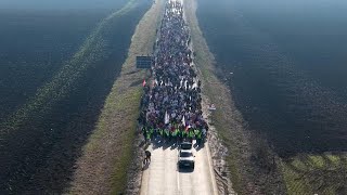 Aerials show striking Serbian students marching north as anti-corruption protests widen