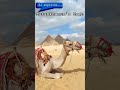 AI explains... Tutankhamun's Tomb! #shorts