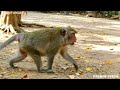 o.m.g jane tries to climb up the tree until she show act as delivery jane neras delivery soon