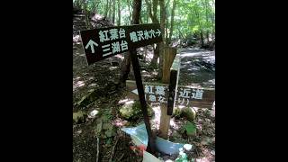 青木ヶ原樹海ハイキングAokigahara sea ​​of ​​trees⑨