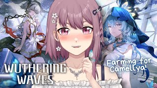 【Wuthering Waves】1.4 Prep! Farming Echoes & Mats for Camellya 鳴潮ツバキ実装に備えて素材集める【EN/日本語/中文】【新人VTuber】