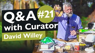 Curator Q&A #21 | Panthers in Disguise | The Tank Museum
