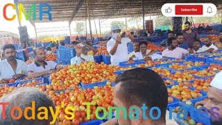 Today's Tomato rates at CMR Mandi, Kolar Karnataka 29 December 24