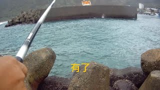 大武崙漁港 釣況分享 Wild fishing in Taiwan. [嘟嘟釣魚狂#199] 2022/11/04