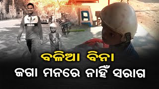 ବଳିଆ ବିନା ଜଗା ମନରେ ନାହିଁ ସରାଗ | Odisha Reporter