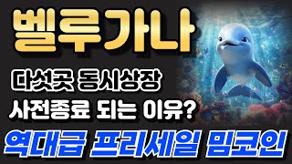 [벨루가나코인] 역대급 프리세일 밈코인 다섯곳 동시상장을 목표로한다 지금 탑승해야하는 이유