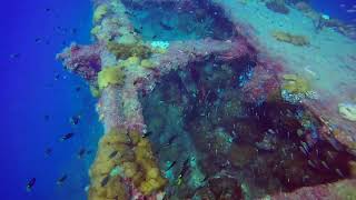 SS Yongala Wreck, Scuba Diving, Great Barrier Reef, Australia, Oct 2021