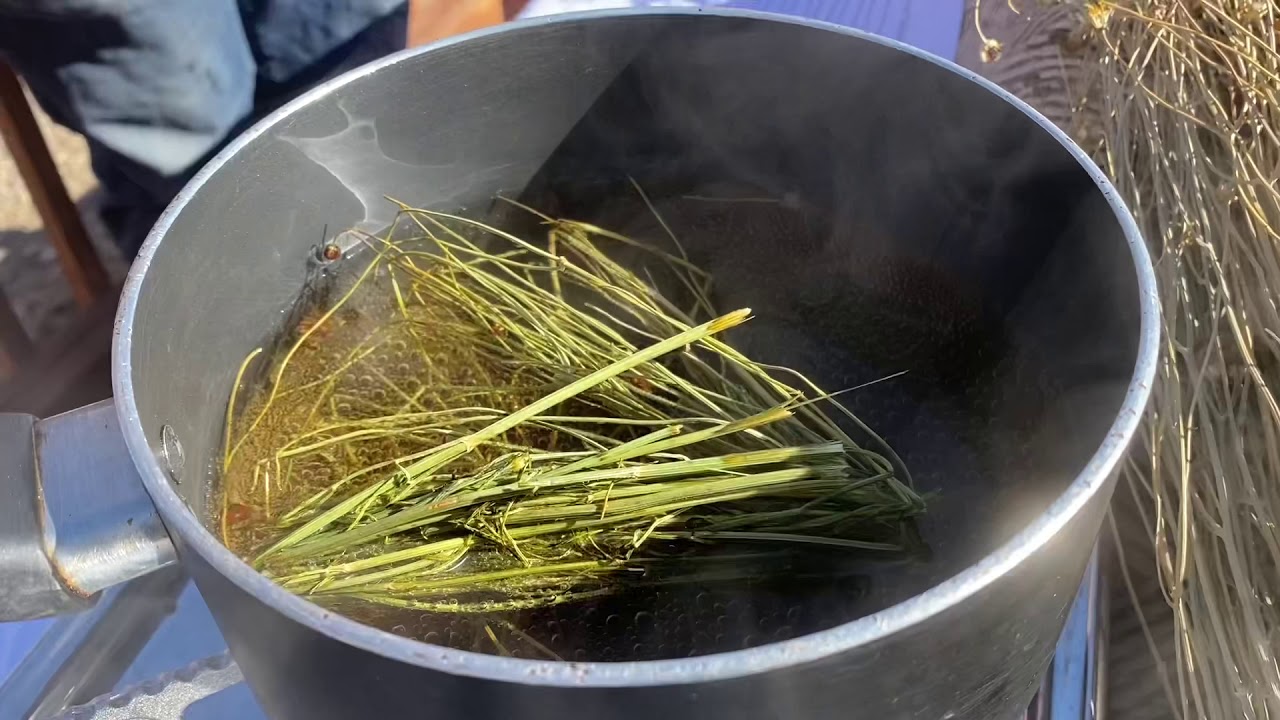 Navajo Tea Demo Youtube