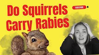 Do Squirrels Carry Rabies - Quick Answer!