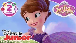 Sofia The First | The Fairy Way Music Video 🎶 | Disney Kids