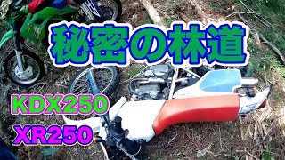 秘密の林道ツーリング　XR250   KDX250   [モトブログ]