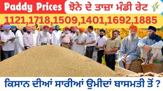 Paddy Prices🌾| ਕਿਸਾਨਾਂ ਦੀਆਂ ਸਾਰੀਆਂ ਉਮੀਦਾਂ ਬਾਸਮਤੀ ਤੋਂ ?| Basmati Rate Punjab| Mandi Rate Today 🌾