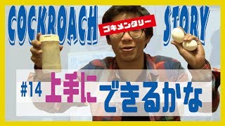 ゴキメンタリー 「#14 上手にできるかな？」目玉焼き作りに挑戦する 26歳 派遣社員