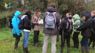 Master en Biologie des organismes et écologie : une formation hors des sentiers battus