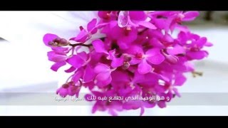 خاطرة من يستحق الحب بقلم هلا القحطاني