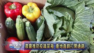 農會推防疫蔬菜箱 產地直銷打開通路  南投新聞