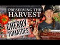 Roasted Cherry Tomatoes with Herbs: Preserving the Harvest 🍅