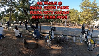 4K WALK @NARA DEAR PARK NARA CITY JAPAN