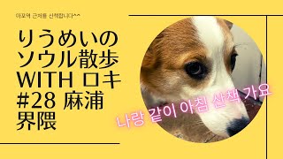 【りうめいのソウル散歩】#28 韓国語で話しながら近所散歩with ロキ /아침 산책 인 마포