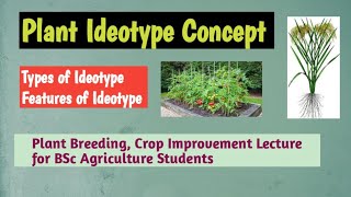 Plant Ideotype concept| types of ideotype| Features of ideotype