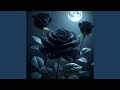 Bloom in the Darkness