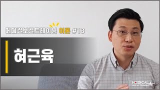 [메디컬보컬트레이닝] 발성이론 #13 혀근육